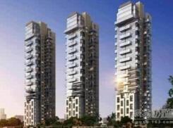 Bid:One Shenzhen Bay Floor 28, 29 Residential Intelligent Project